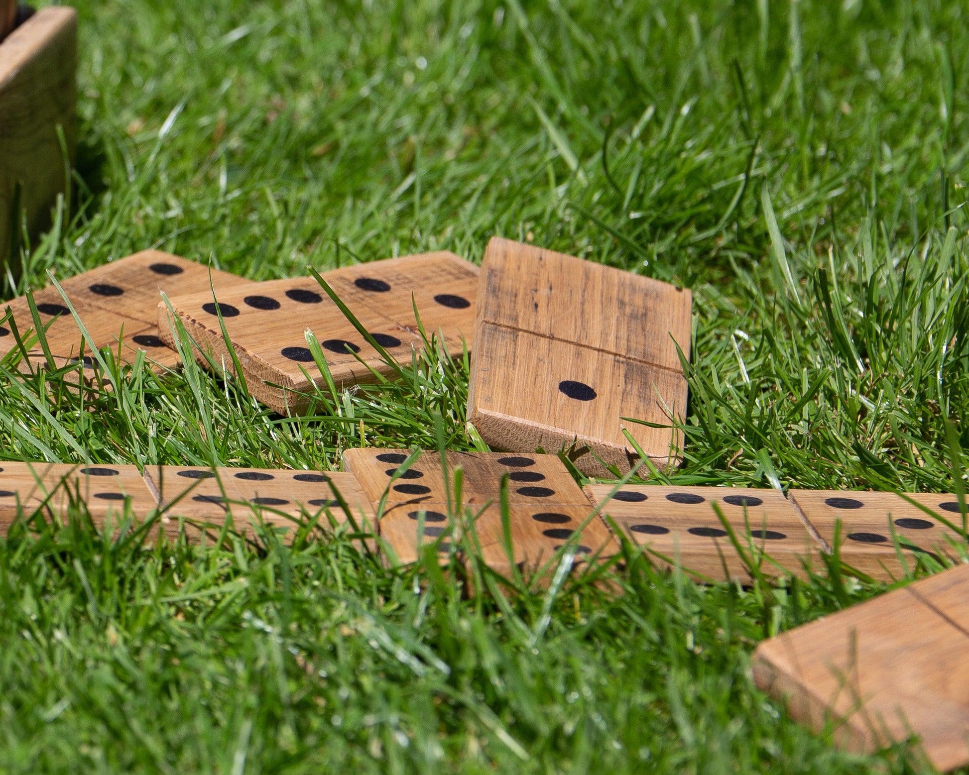 Large Wooden Dominoes - Double 6 Set - woodnlotsoflove